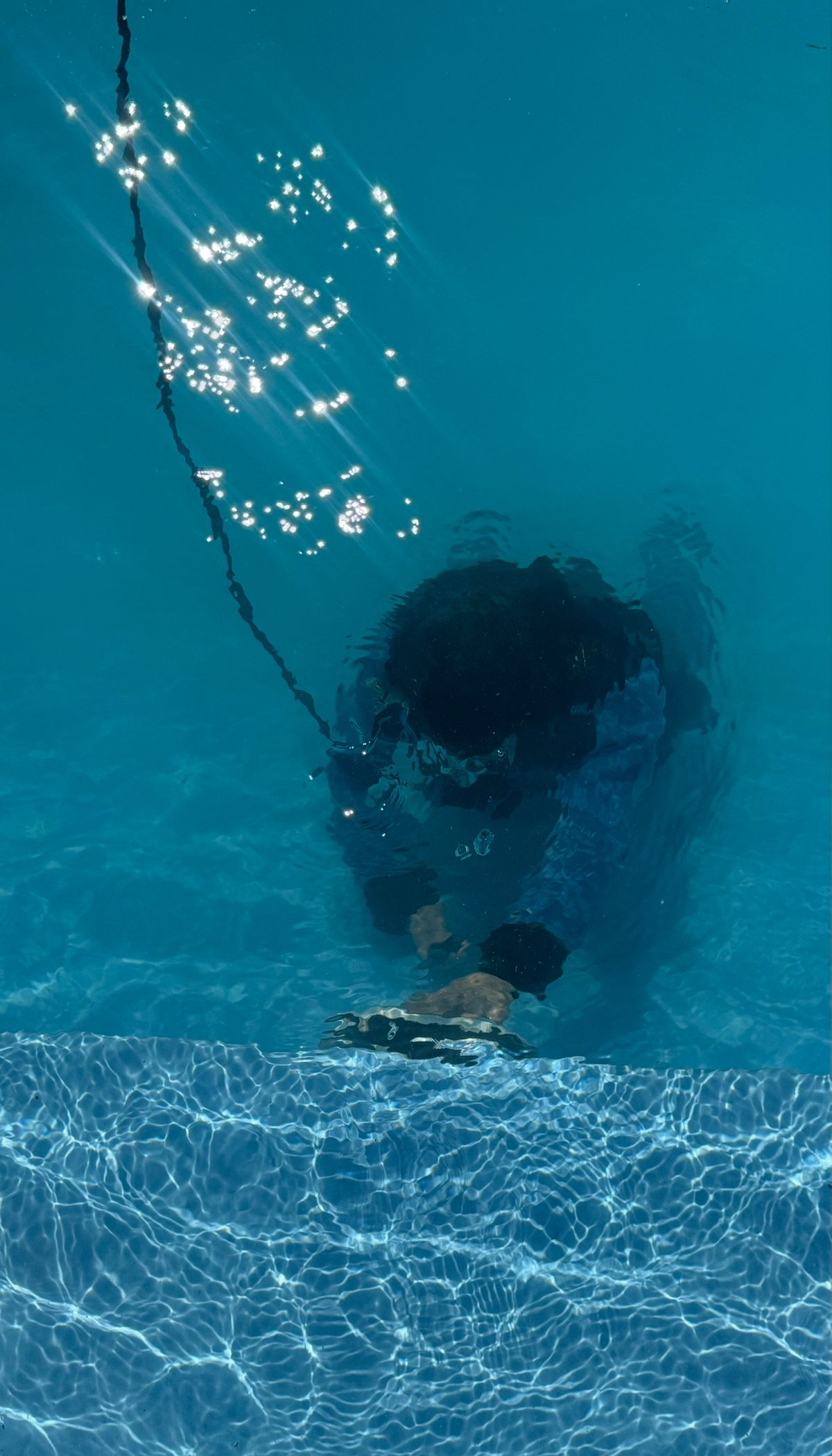 FDC underwater conservation dive