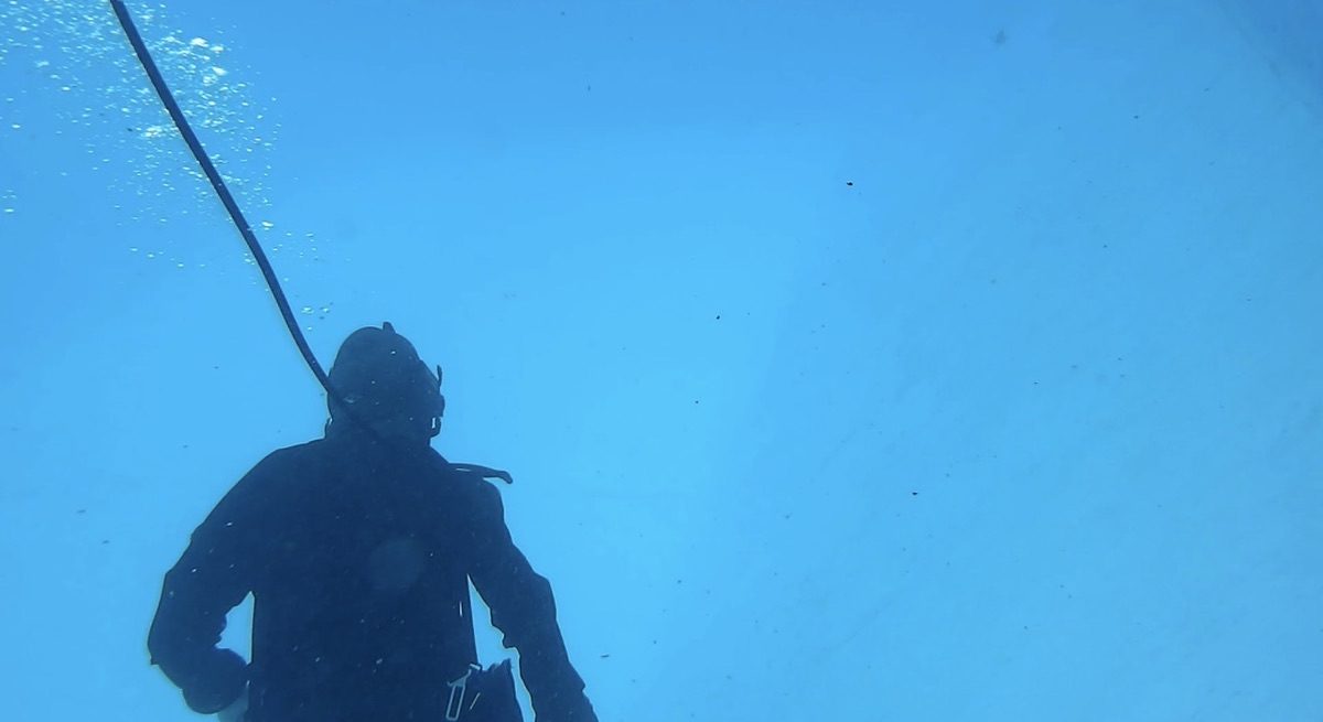 FDC diver ascending silhouette