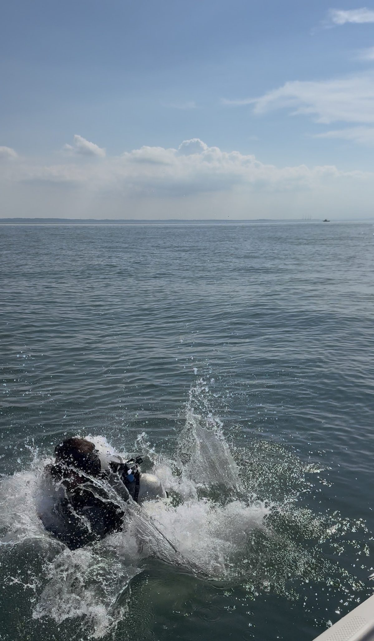 Final Dive Co. diver back-roll entry off the boat