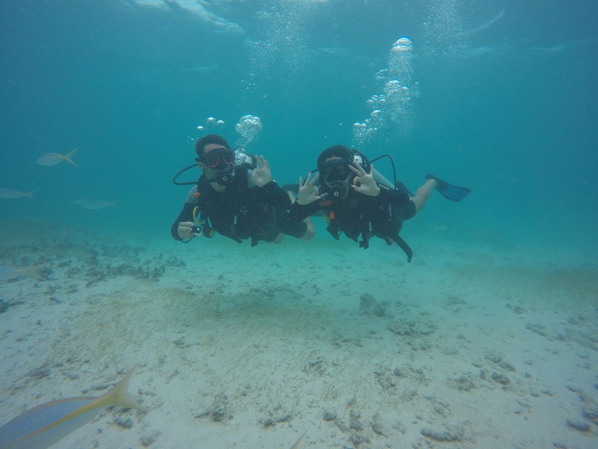 Final Dive Co. dive team underwater