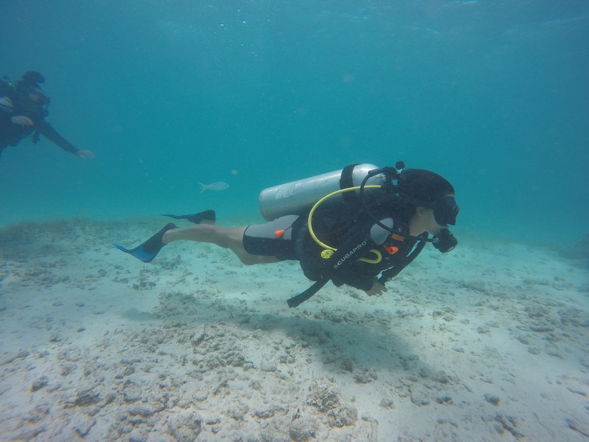 FDC commercial diver underwater